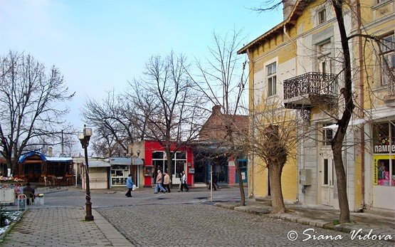 Street in Elhovo